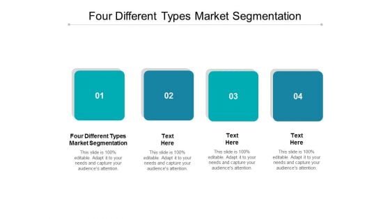 Four Different Types Market Segmentation Ppt PowerPoint Presentation Layouts Topics Cpb