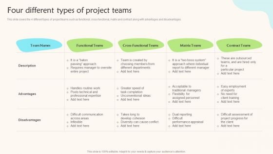 Four Different Types Of Project Teams Teams Working Towards A Shared Objective Portrait PDF