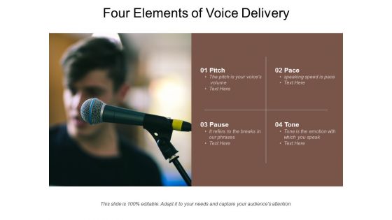 Four Elements Of Voice Delivery Ppt PowerPoint Presentation File Show