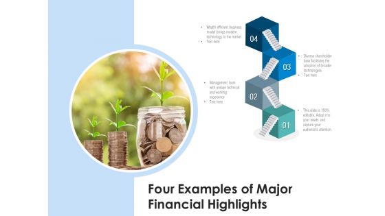 Four Examples Of Major Financial Highlights Ppt PowerPoint Presentation Gallery Deck PDF