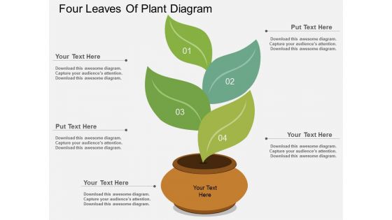Four Leaves Of Plant Diagram Powerpoint Template