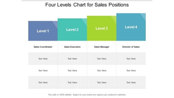 Four Levels Chart For Sales Positions Ppt PowerPoint Presentation Show