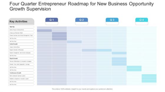 Four Quarter Entrepreneur Roadmap For New Business Opportunity Growth Supervision Summary PDF