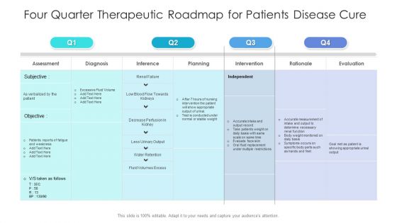 Four Quarter Therapeutic Roadmap For Patients Disease Cure Portrait