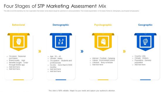 Four Stages Of STP Marketing Assessment Mix Summary PDF