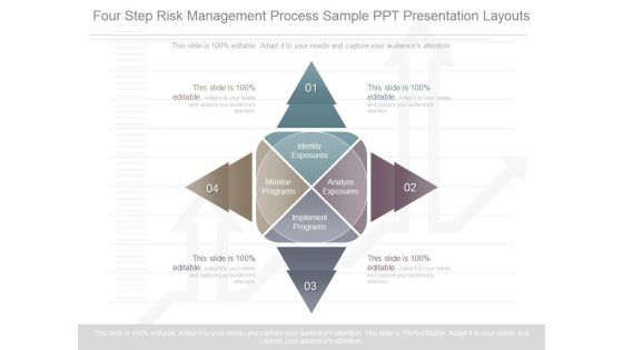 Four Step Risk Management Process Sample Ppt Presentation Layouts