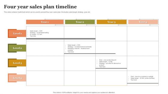 Four Year Sales Plan Timeline Summary PDF