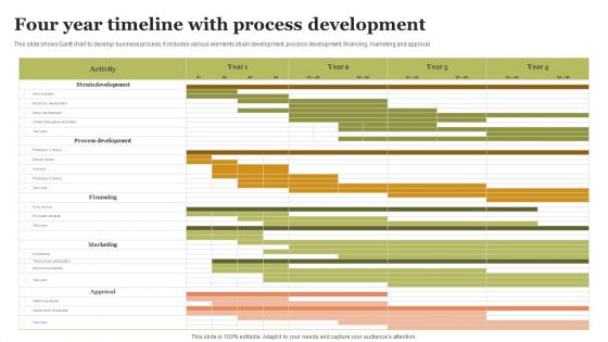 Four Year Timeline With Process Development Summary PDF