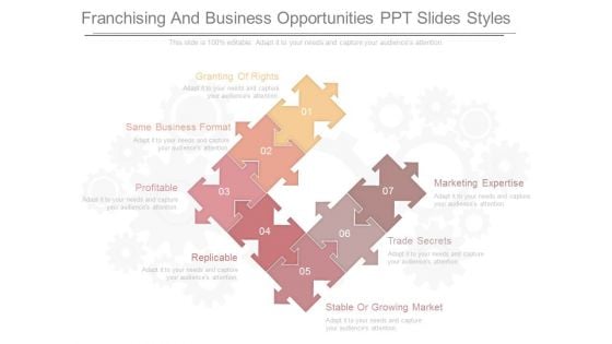 Franchising And Business Opportunities Ppt Slides Styles