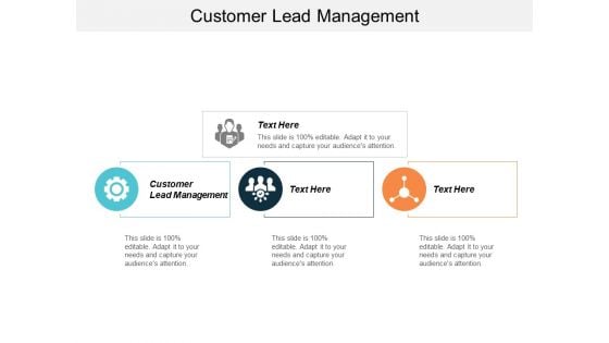 Free Customer Lead Management Ppt PowerPoint Presentation Background  Cpb