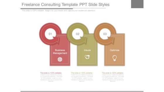 Freelance Consulting Template Ppt Slide Styles