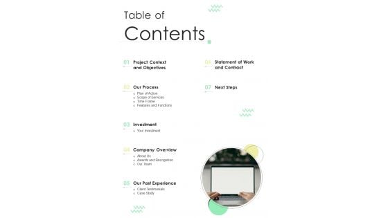 Freight Inspection Software Proposal Table Of Contents One Pager Sample Example Document