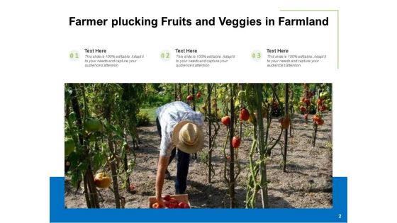 Fruits And Veggies Farmer Plucking Fresh Fruits Ppt PowerPoint Presentation Complete Deck