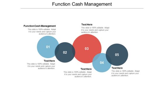 Function Cash Management Ppt PowerPoint Presentation Professional Graphics Download