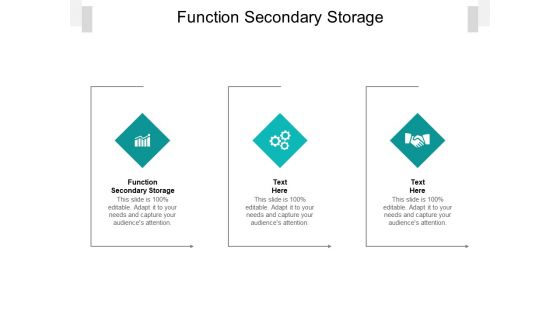 Function Secondary Storage Ppt PowerPoint Presentation Slides Format Ideas Cpb Pdf