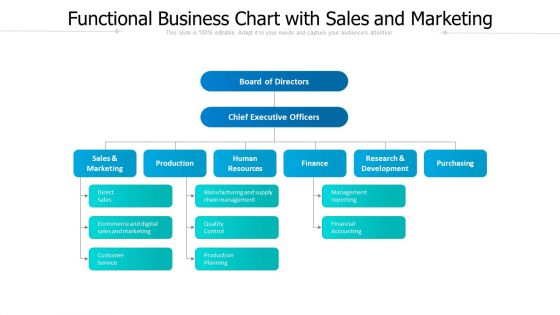 Functional Business Chart With Sales And Marketing Ppt PowerPoint Presentation Icon Professional PDF