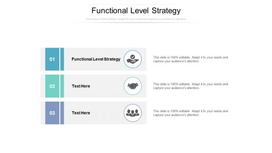 Functional Level Strategy Ppt PowerPoint Presentation Infographics Example Cpb