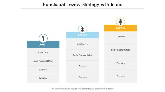 Functional Levels Strategy With Icons Ppt PowerPoint Presentation Infographic Template Aids