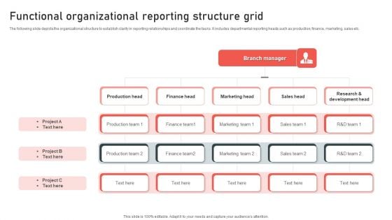 Functional Organizational Reporting Structure Grid Background PDF