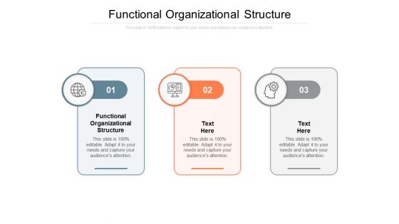 Functional Organizational Structure Ppt PowerPoint Presentation File Clipart Images Cpb
