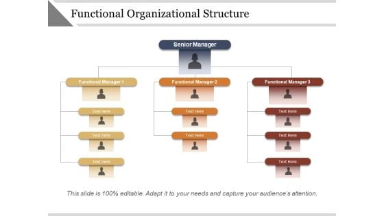 Functional Organizational Structure Ppt PowerPoint Presentation Layouts Tips