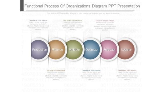 Functional Process Of Organizations Diagram Ppt Presentation