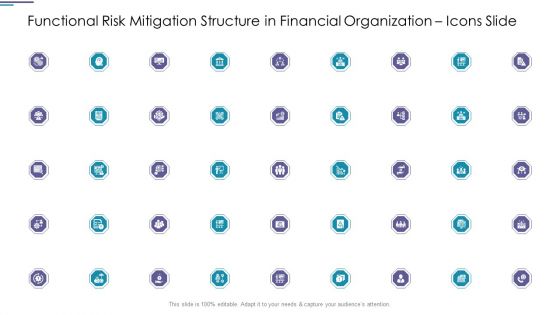 Functional Risk Mitigation Structure In Financial Organization Icons Slide Introduction PDF