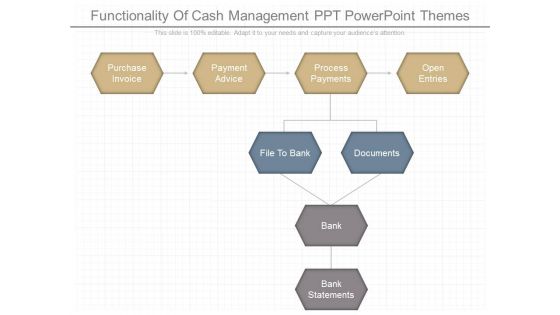 Functionality Of Cash Management Ppt Powerpoint Themes Functionality Of Cash Management Ppt Powerpoint Themes