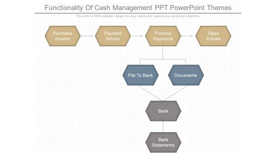 Functionality Of Cash Management Ppt Powerpoint Themes