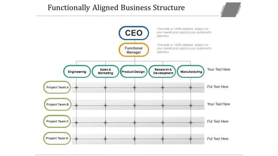 Functionally Aligned Business Structure Ppt PowerPoint Presentation Portfolio Graphics Tutorials