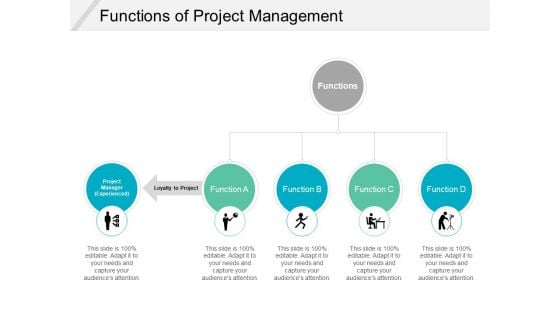 Functions Of Project Management Ppt PowerPoint Presentation Infographic Template Mockup