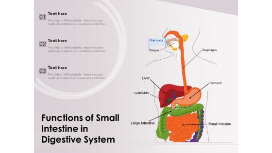 Functions Of Small Intestine In Digestive System Ppt PowerPoint Presentation Layouts Format PDF