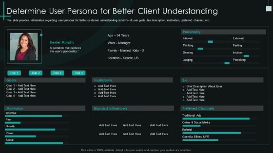 Fundamental PMP Elements Of IT Projects IT Determine User Persona For Better Client Understanding Rules PDF