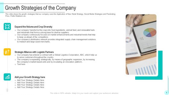 Funding Deck To Obtain Grant Facilities From Public Companies Growth Strategies Of The Company Mockup PDF