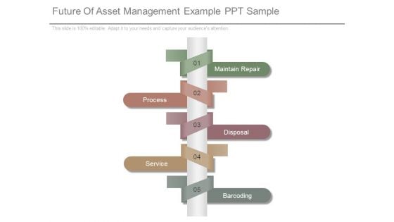 Future Of Asset Management Example Ppt Sample