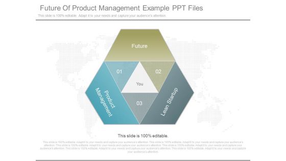 Future Of Product Management Example Ppt Files