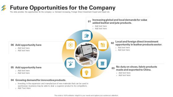 Future Opportunities For The Company Ppt Infographics Layouts PDF