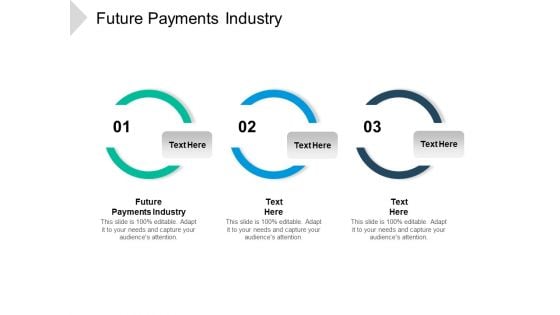 Future Payments Industry Ppt PowerPoint Presentation Outline Guide Cpb Pdf