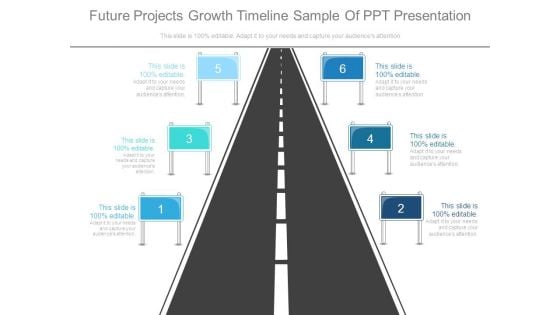 Future Projects Growth Timeline Sample Of Ppt Presentation