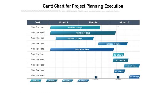 Gantt Chart For Project Planning Execution Ppt PowerPoint Presentation Styles Graphics