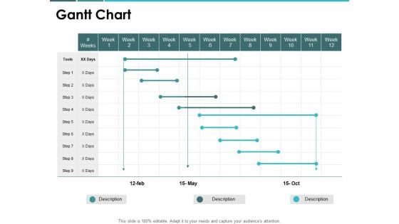 Gantt Chart Management Ppt PowerPoint Presentation Professional Graphics Pictures