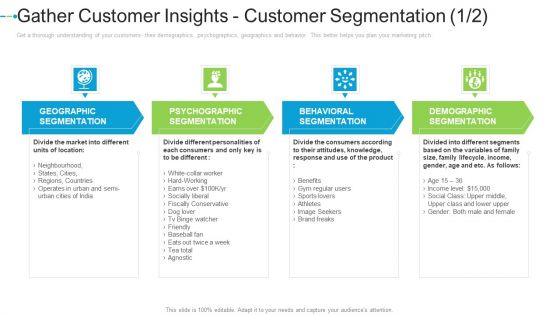 Gather Customer Insights Customer Segmentation Brand Internet Marketing Strategies To Grow Your Business Information PDF