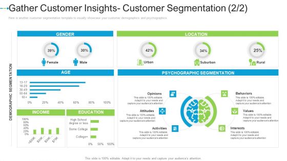 Gather Customer Insights Customer Segmentation Female Internet Marketing Strategies To Grow Your Business Graphics PDF