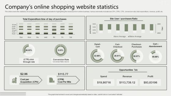 Global Business Market Development Guide Companys Online Shopping Website Statistics Background PDF