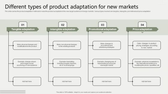 Global Business Market Development Guide Different Types Of Product Adaptation For New Markets Inspiration PDF