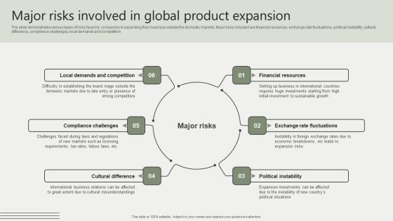 Global Business Market Development Guide Major Risks Involved In Global Product Expansion Professional PDF