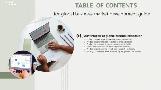 Global Business Market Development Guide Table Of Contents Download PDF