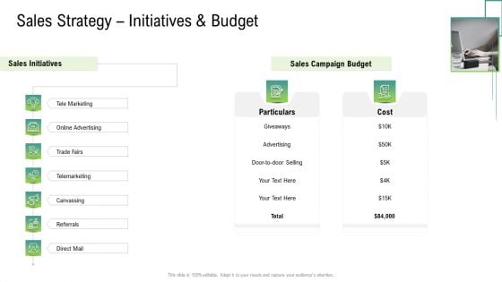 Global Marketing Targeting Strategies Commodities Services Sales Strategy Initiatives Budget Pictures PDF