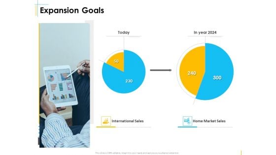 Global Organization Marketing Strategy Development Expansion Goals Structure PDF