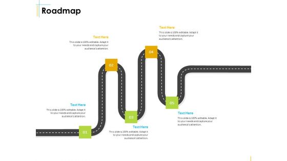 Global Organization Marketing Strategy Development Roadmap Sample PDF